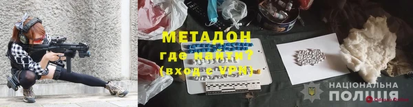 прущие грибы Балабаново