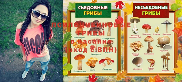 прущие грибы Балабаново