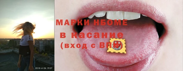 прущие грибы Балабаново