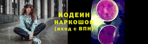 прущие грибы Балабаново