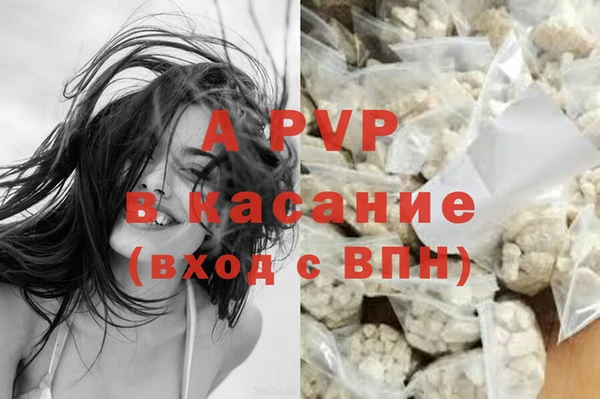 прущие грибы Балабаново