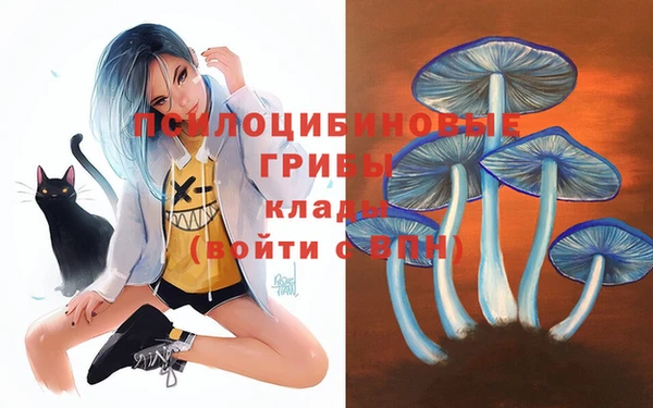 а пвп мука Балахна