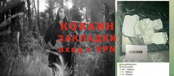 прущие грибы Балабаново