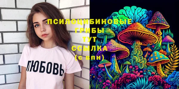 прущие грибы Балабаново