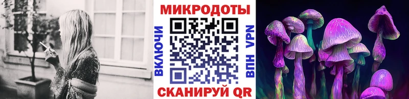 Галлюциногенные грибы Psilocybine cubensis  купить наркоту  Новотитаровская 