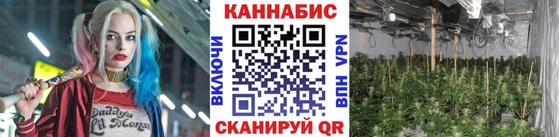 Канабис Bruce Banner Новотитаровская